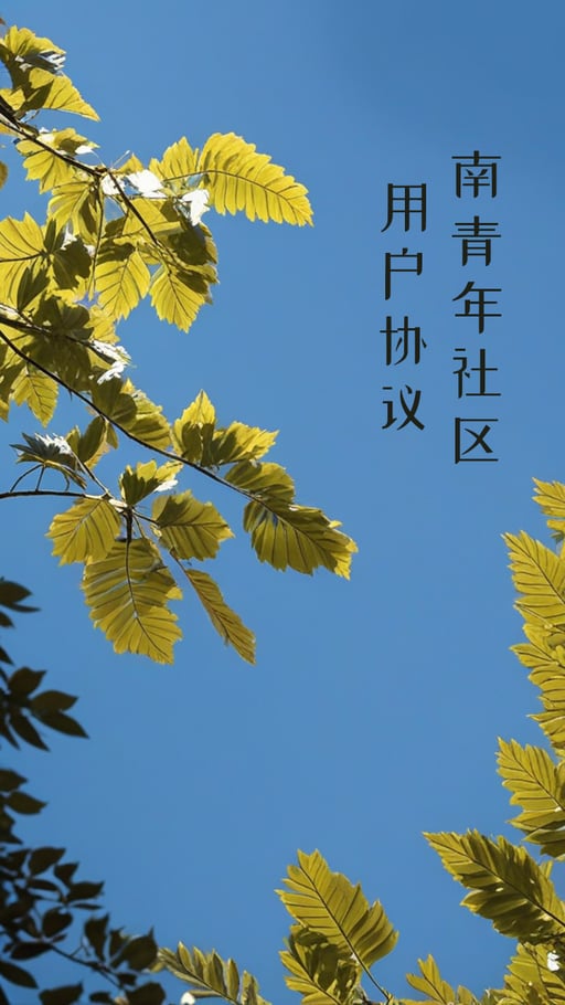 南青年社区用户协议 海报网站