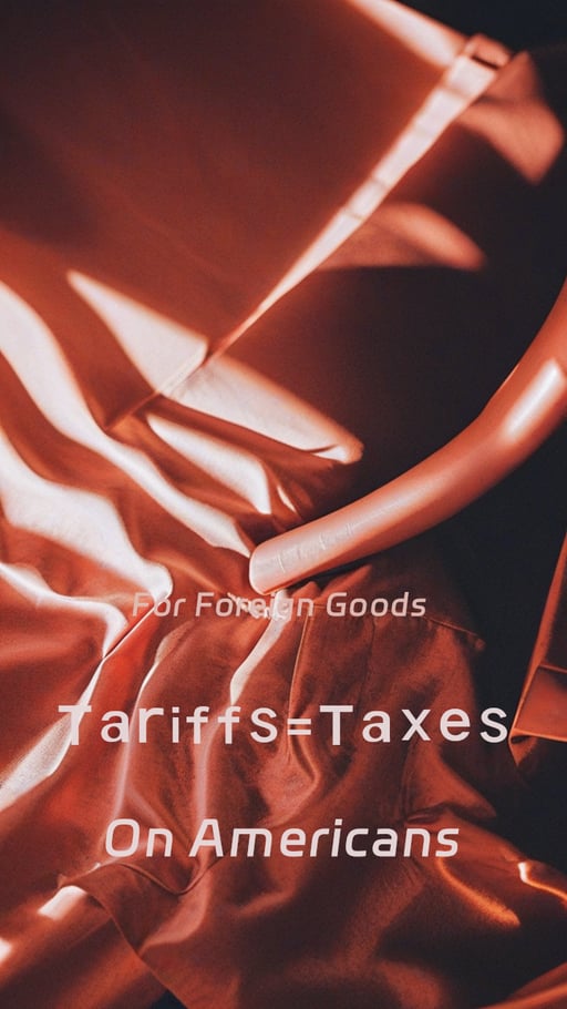 Tariffs=Taxes 海报网站