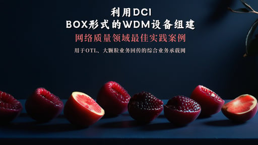 利用DCI BOX形式的WDM设备组建 海报网站