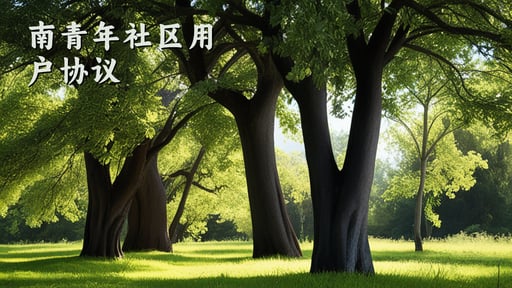 南青年社区用户协议 海报网站